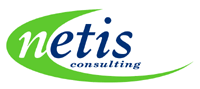 Netis Consulting Web Development Company